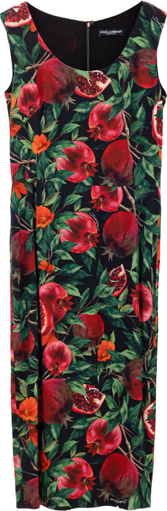Dolce & Gabbana Dolce & Gabbana Pomegranate Print Dress