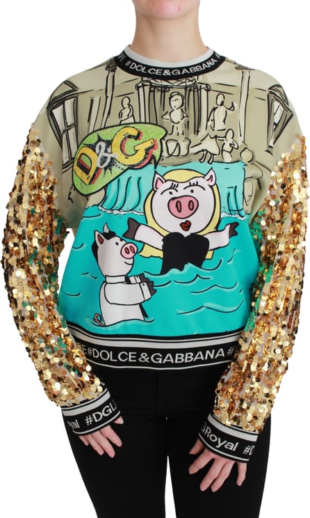 Dolce & Gabbana Dolce & Gabbana Year of the Pig Sequined Top Sweater