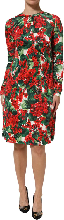 Dolce & Gabbana Dolce & Gabbana Multicolor Floral Short Portofino Dress
