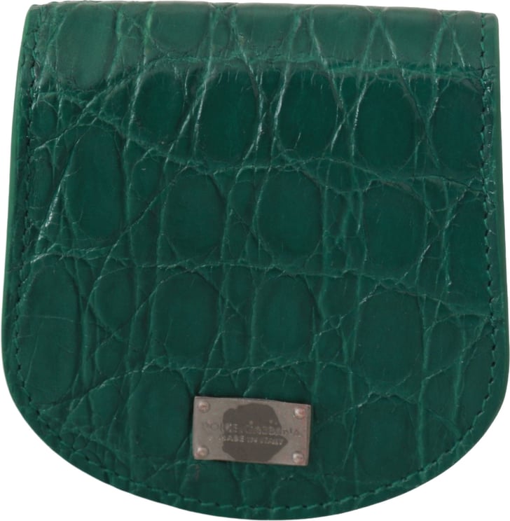 Dolce & Gabbana Dolce & Gabbana Green Exotic Skins Condom Case Holder Wallet