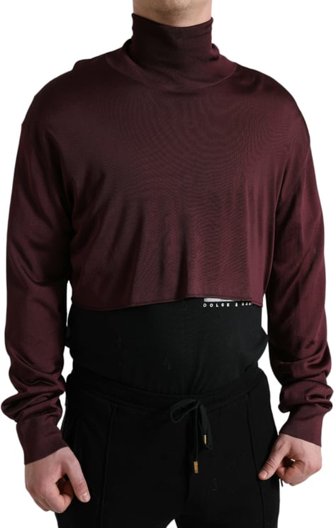 Dolce & Gabbana Dolce & Gabbana Maroon Viscose Turtleneck Pullover Sweater
