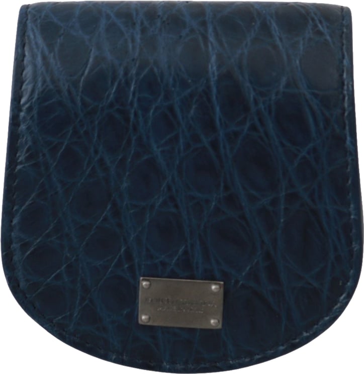 Dolce & Gabbana Dolce & Gabbana Blue Holder Pocket Wallet Blue Exotic Skin Condom Case