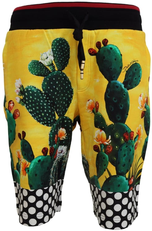 Dolce & Gabbana Dolce & Gabbana Multicolor Cactus Print Cotton Sweat Shorts