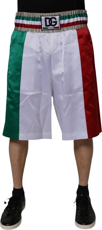Dolce & Gabbana Dolce & Gabbana Multicolor Italia Polyester Bermuda Shorts