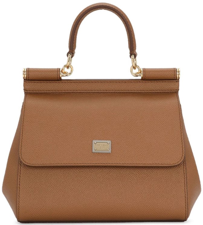 Dolce & Gabbana Bags Brown