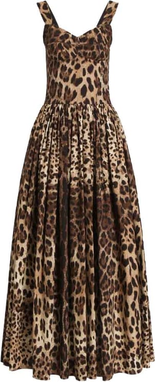 Dolce & Gabbana Dresses Leopard Print