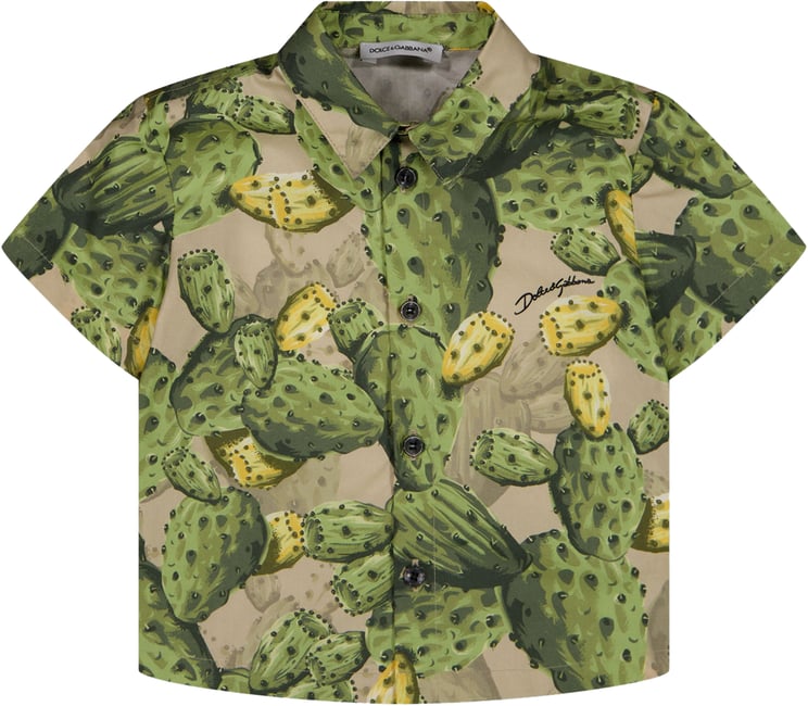 Dolce & Gabbana Dolce & Gabbana Baby Jongens Blouse In Groen