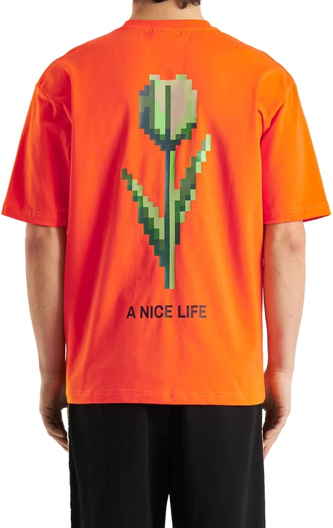 Don't Waste Culture Talora | Orange