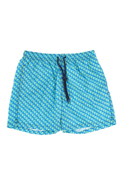 Drumohr Fish Print Quick-Dry Swim Shorts
