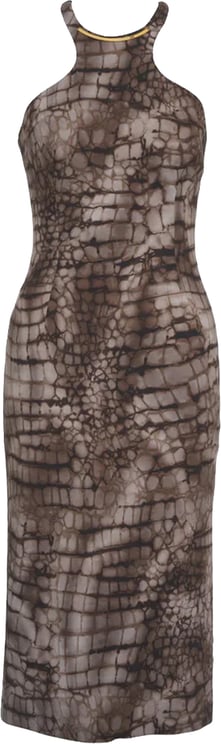 Elisabetta Franchi Dresses Cacao