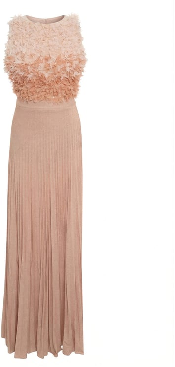 Elisabetta Franchi Maxi dress