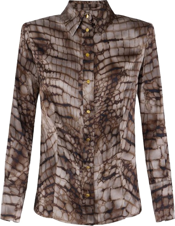 Elisabetta Franchi Shirts Brown