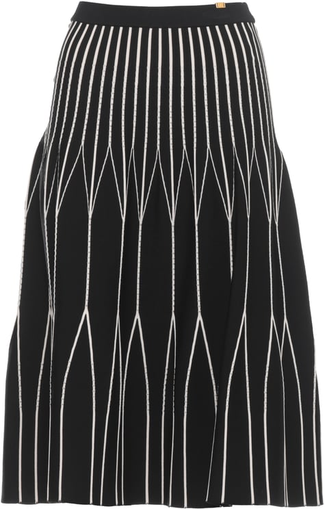 Elisabetta Franchi Skirts Black
