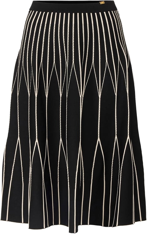 Elisabetta Franchi Skirts Neroburro