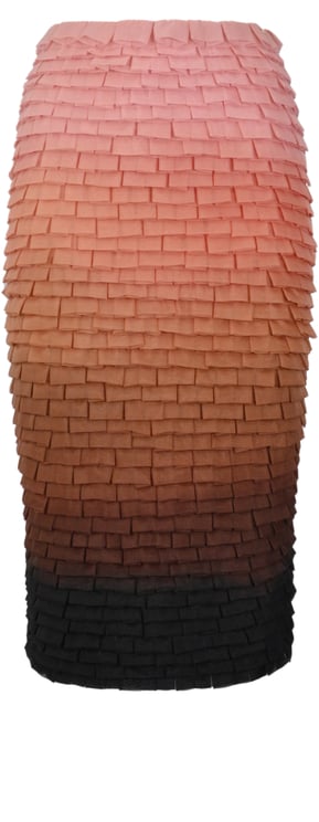 Elisabetta Franchi Skirts Nude/Cacao