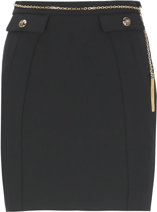 Elisabetta Franchi Skirts Black