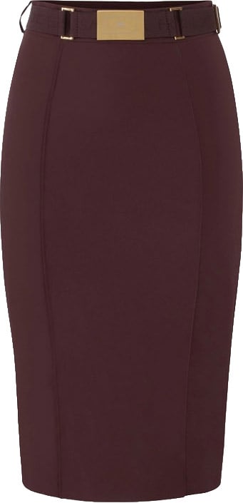 Elisabetta Franchi Skirts Cacao