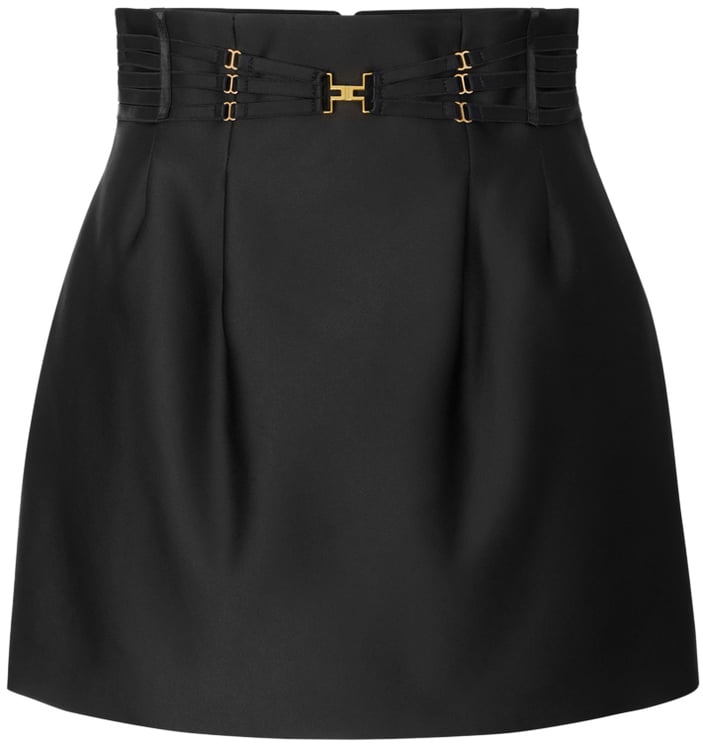 Elisabetta Franchi Skirts Black
