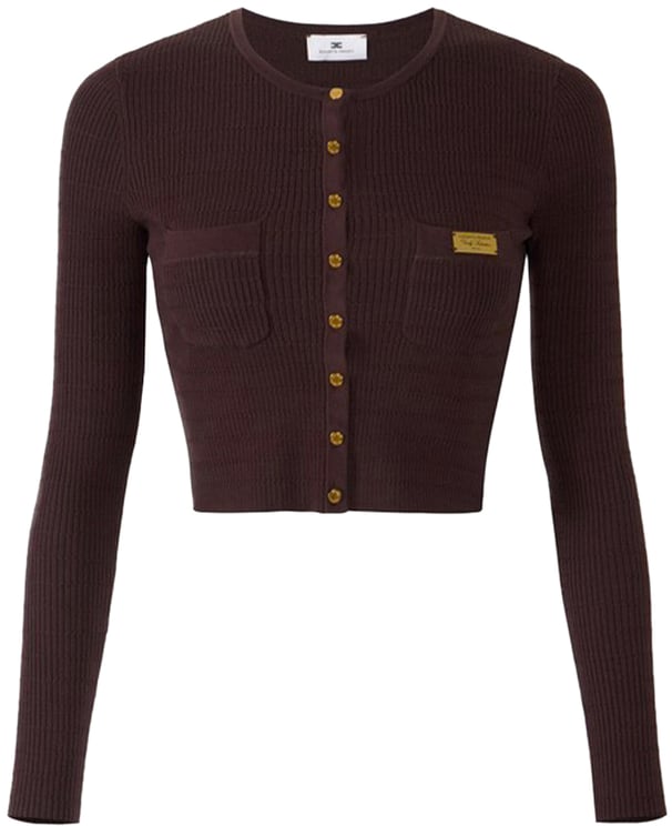 Elisabetta Franchi Sweaters Brown
