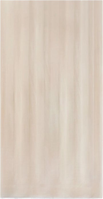 Elisabetta Franchi Scarfs Burro