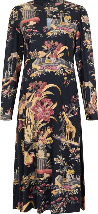 Etro Long dress with print
