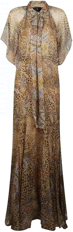 Etro Short Sleeve Animalier Motif Maxi Godet Dress Brown