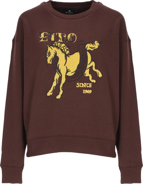 Etro Sweaters Burgundy