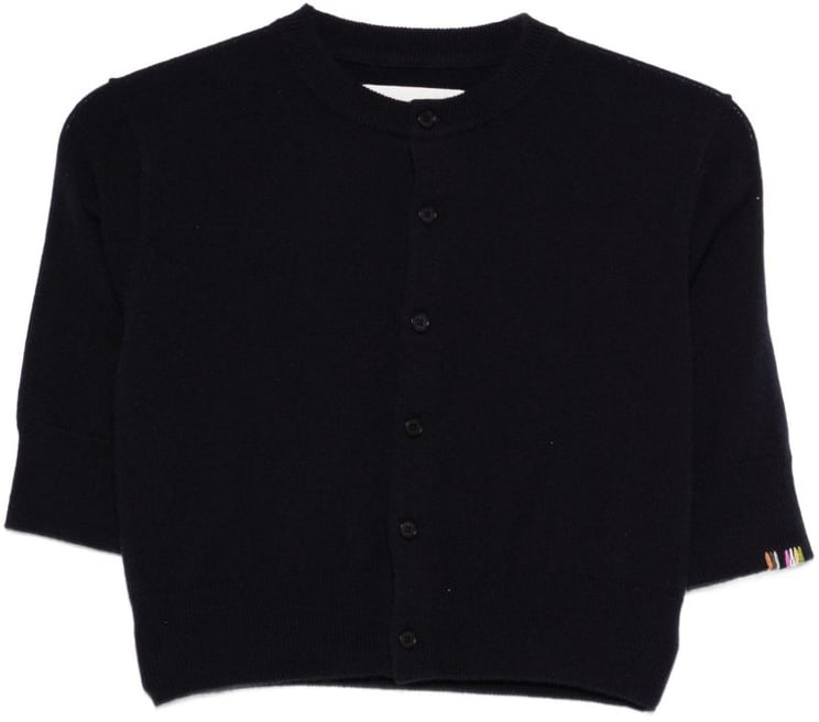 Extreme Cashmere Sweaters Blue
