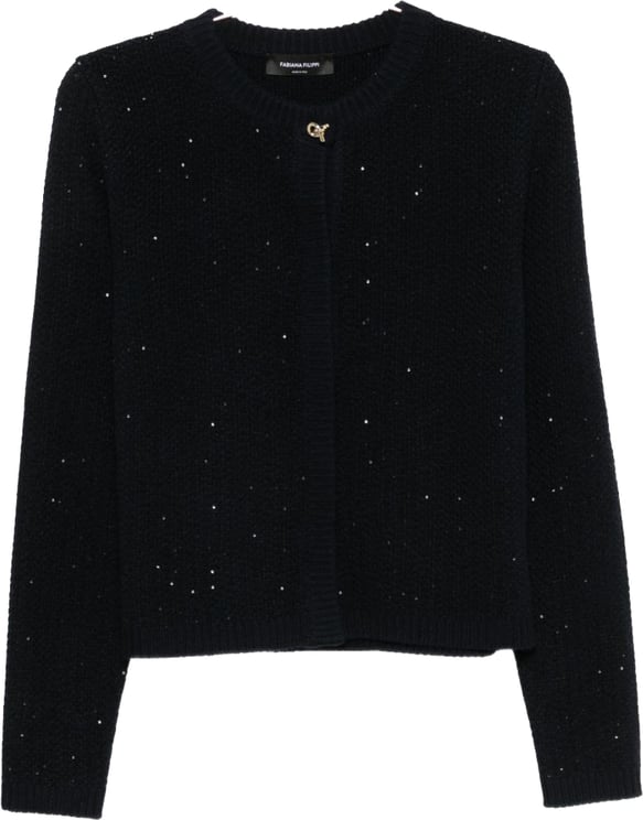 Fabiana Filippi Sweaters Navy