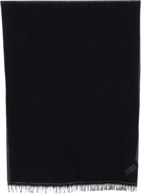 Fabiana Filippi Scarfs Navy