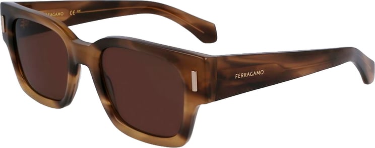 Ferragamo Ferragamo Brown Acetate Sunglasses