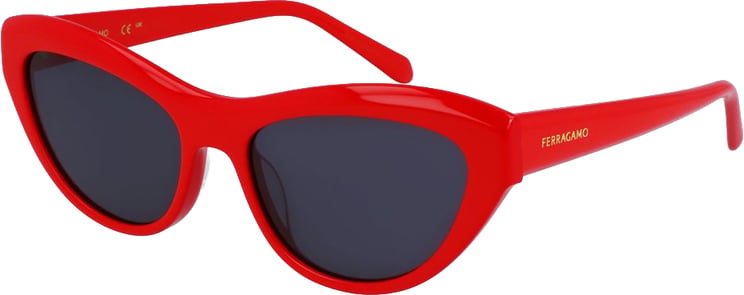 Ferragamo Ferragamo Multicolor Acetate Sunglasses