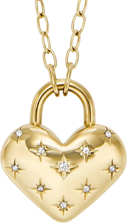 Fossil Fossil - Ketting - Goud