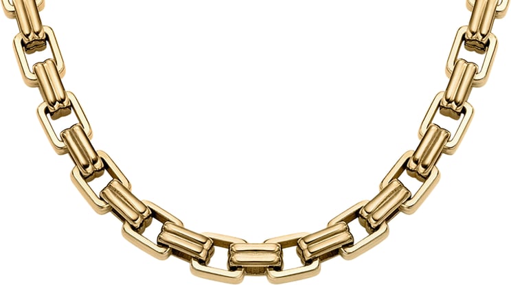 Fossil Fossil - Ketting - Goud
