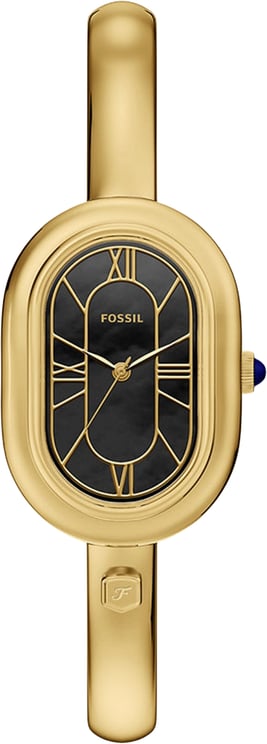 Fossil Fossil - Horloge - Goud