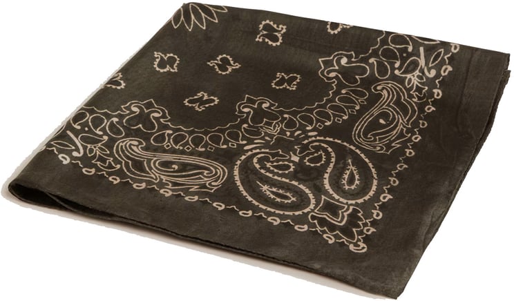 Golden Goose Paisley Scarf Green