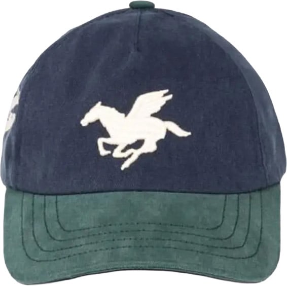 Goodies Sportive Goodies Sportive - 3D pegasus washed cap - 3PWC26 - Washed green blue