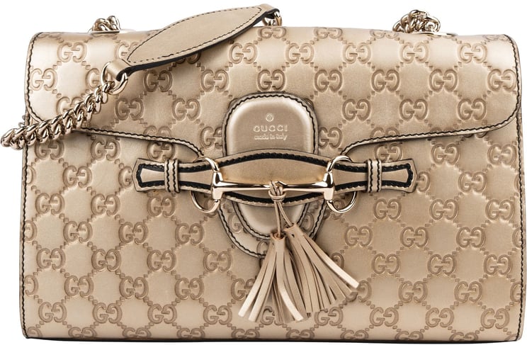 Gucci Gucci Guccissima Leather Emily Chain Shoulder Bag