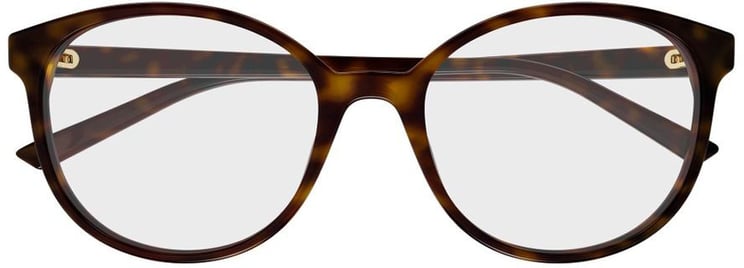 Gucci Gg1996O 002 Havana Sunglasses