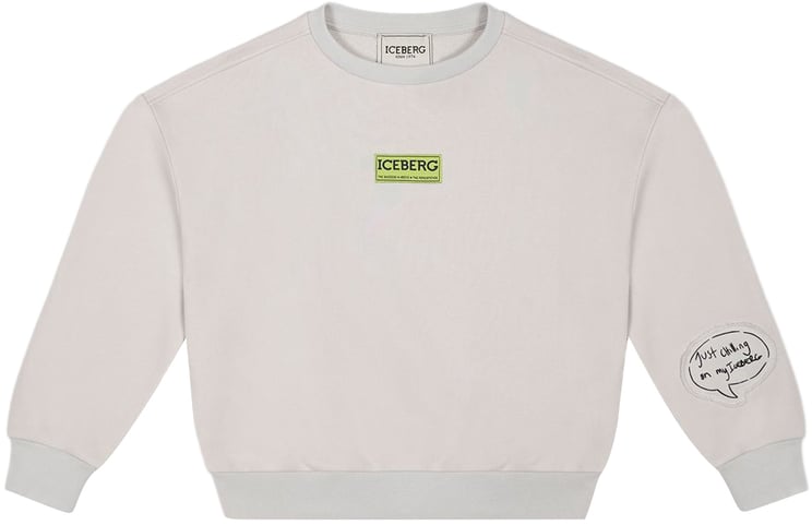 Iceberg KIDS - Light gray sweatshirt for boys with graphic detail