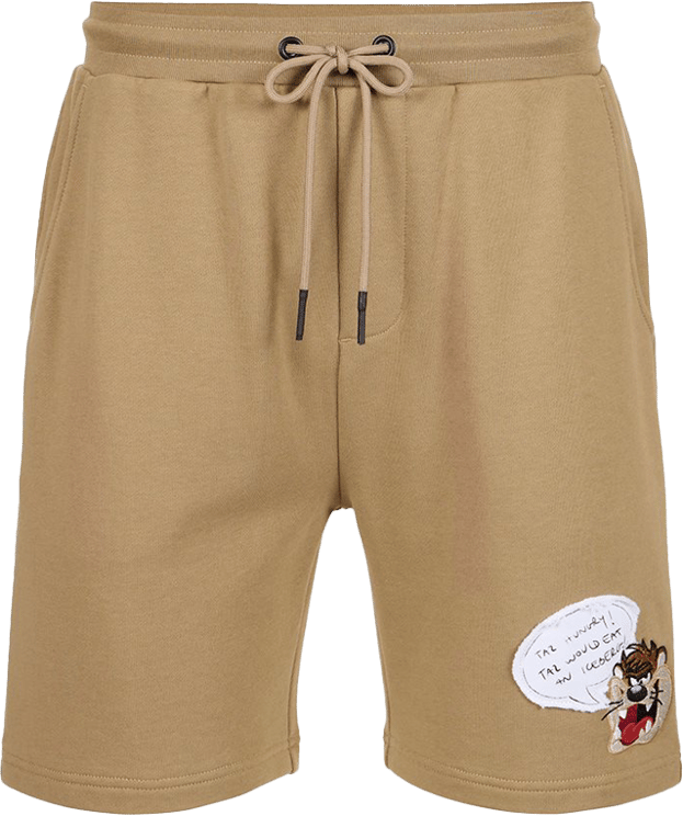 Iceberg Iceberg Looney Tunes Short Tasmanian Devil