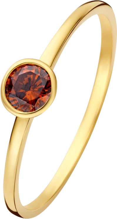 Isabel Bernard Isabel Bernard Baguette Brune - Ring - Goud