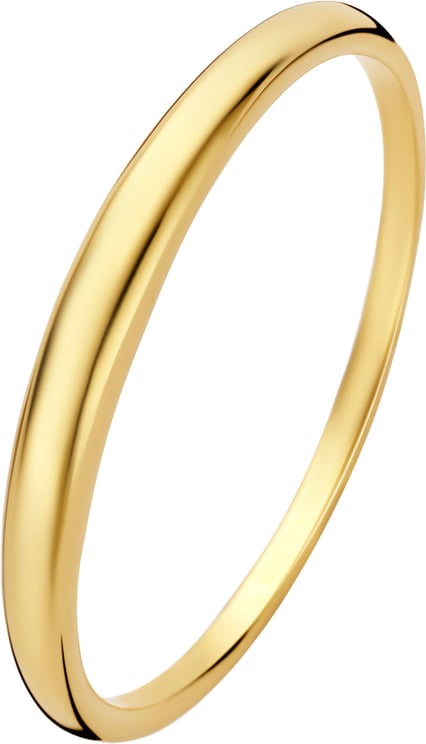 Isabel Bernard Isabel Bernard Rivoli Maryn - Ring - Goud