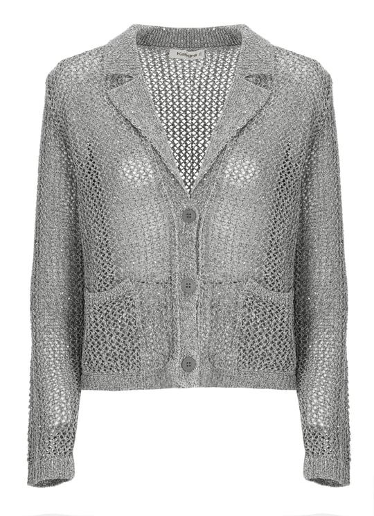 Kangra Grey Sequined Cotton-Blend Blazer