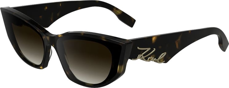Karl Lagerfeld Karl Lagerfeld Black Acetate Sunglasses