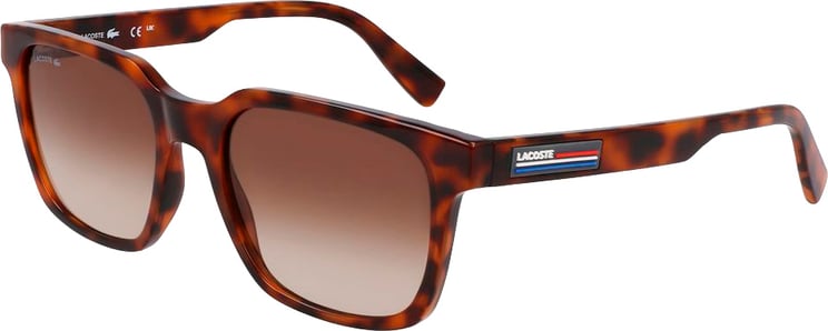 Lacoste Lacoste Brown Injected Sunglasses