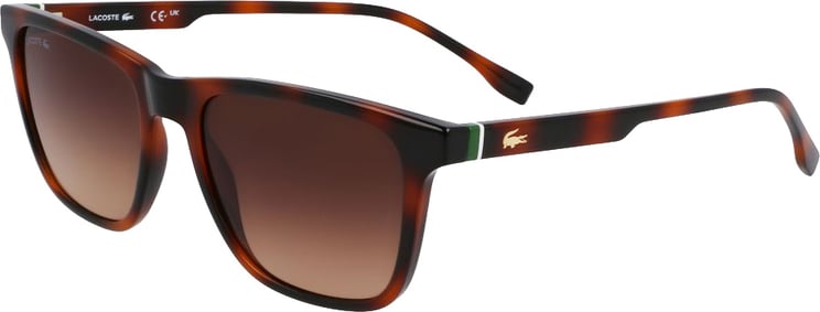 Lacoste Lacoste Brown Injected Sunglasses