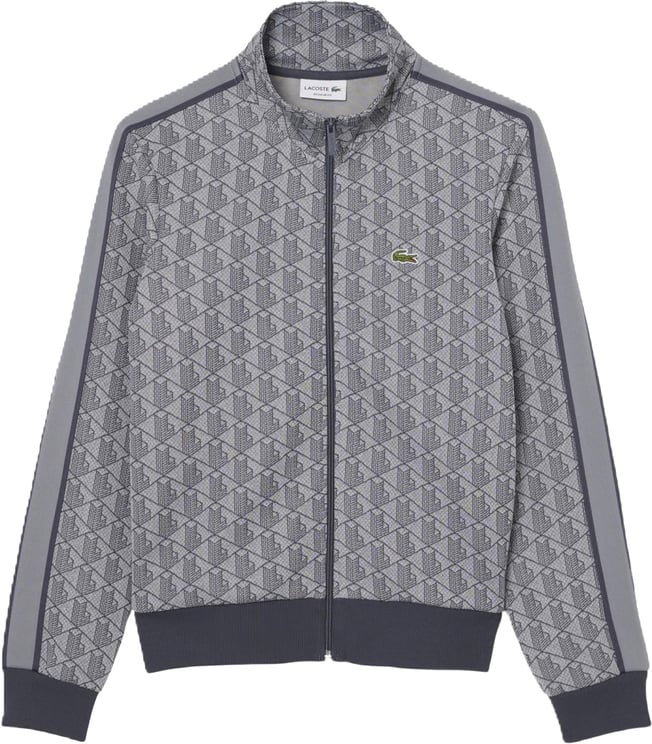 Lacoste Sweaters Grigio