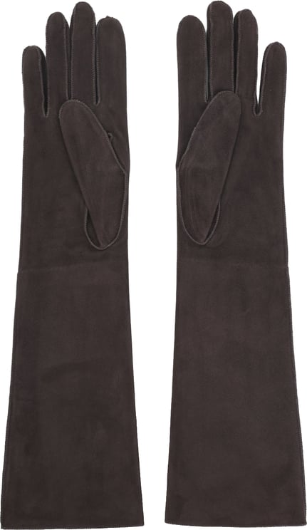 Lanvin Lanvin Long Slim Gloves