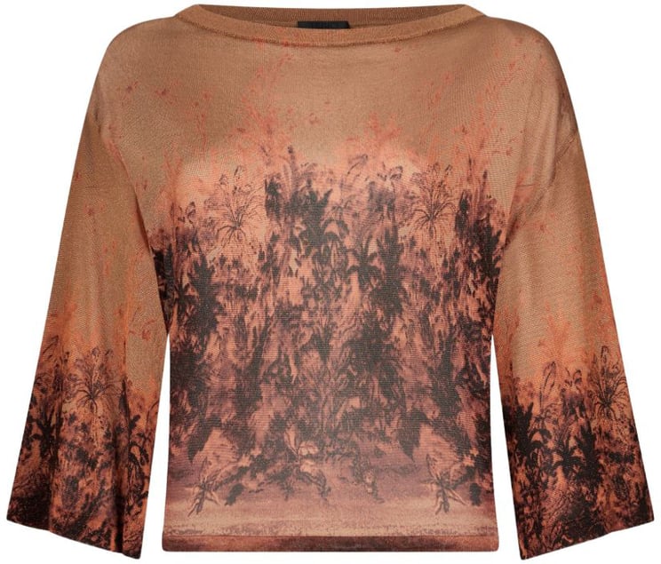 Liu Jo Sweaters Marrone